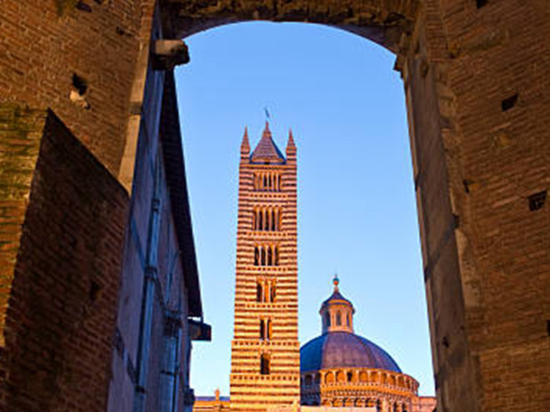 Visita guidata del Duomo di Siena        